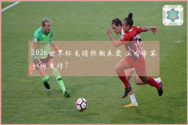 2026世界杯竞猜热潮来袭 业内专家如何看待？