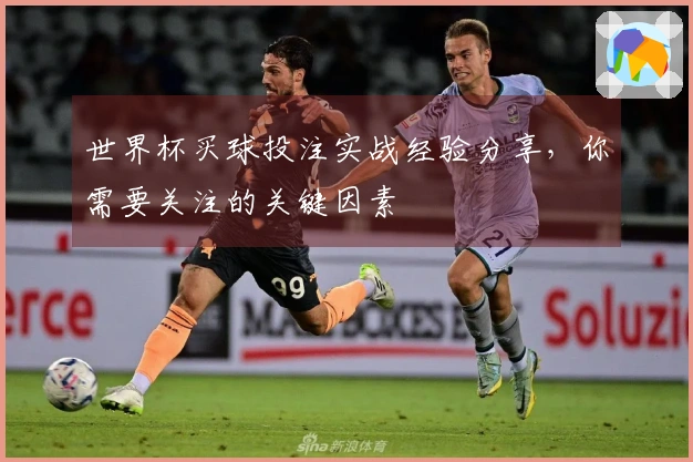 世界杯买球投注实战经验分享，你需要关注的关键因素