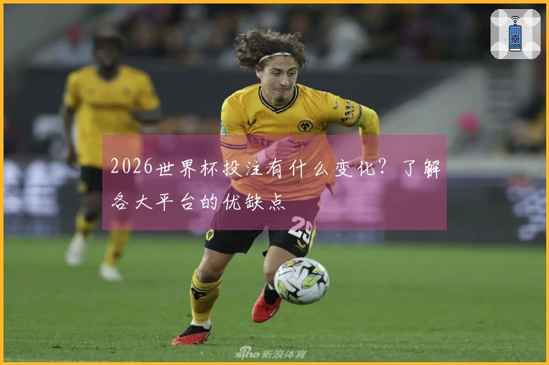 2026世界杯投注有什么变化？了解各大平台的优缺点