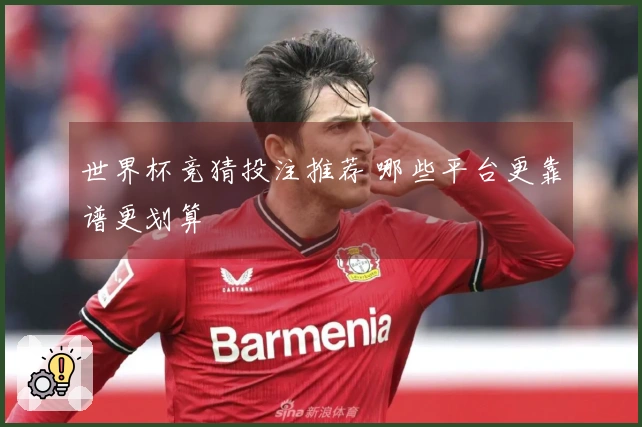 世界杯竞猜投注推荐 哪些平台更靠谱更划算