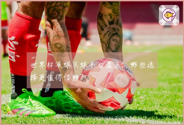 世界杯滚球买球平台盘点：哪些选择更值得信赖？