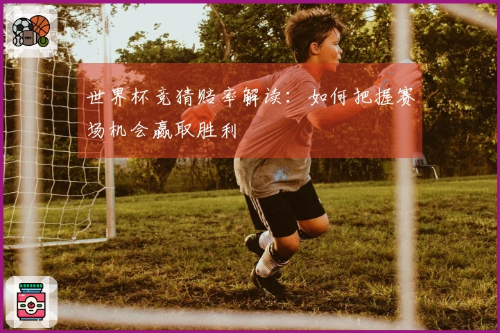 世界杯竞猜赔率解读：如何把握赛场机会赢取胜利