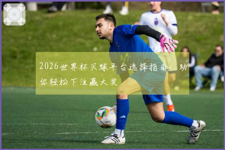 2026世界杯买球平台选择指南，助你轻松下注赢大奖