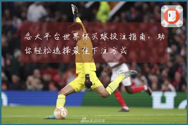 各大平台世界杯买球投注指南，助你轻松选择最佳下注方式