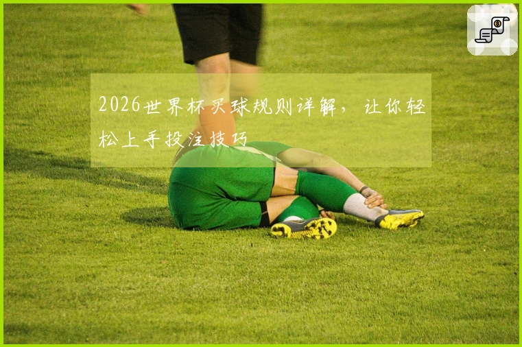 2026世界杯买球规则详解，让你轻松上手投注技巧