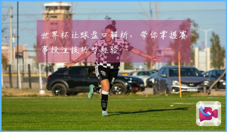 世界杯让球盘口解析，带你掌握赛事投注技巧与经验