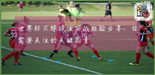 世界杯买球投注实战经验分享，你需要关注的关键因素